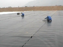 02mm養(yǎng)藕防滲膜價(jià)格