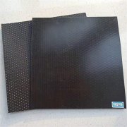 2mm氧化池防滲膜供貨商