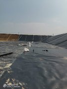 500克低價土工布供貨商