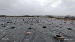 400g市政土工布供貨商