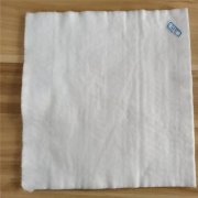 專用土工布生產(chǎn)
