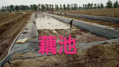 07mm氧化池防滲膜價(jià)格