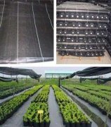 4000g膨潤土防水毯