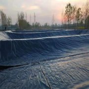 400克綠色土工布價格