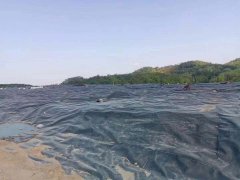 土工膜多少錢一平方