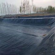 200g公路土工布供貨商