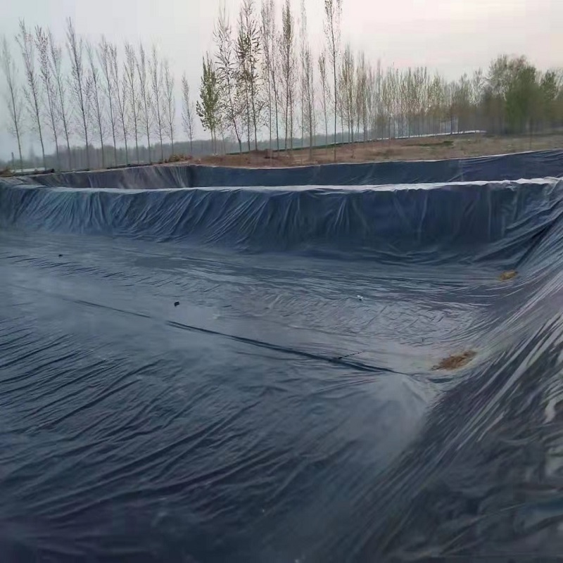 04mm污水池防滲膜生產(chǎn)