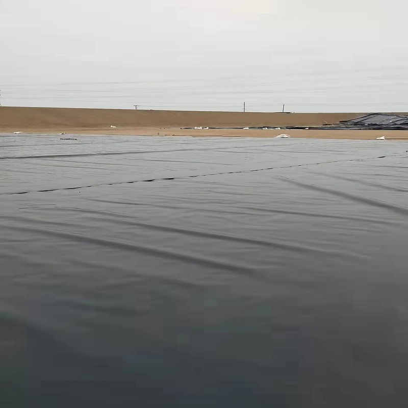防滲土工膜價格