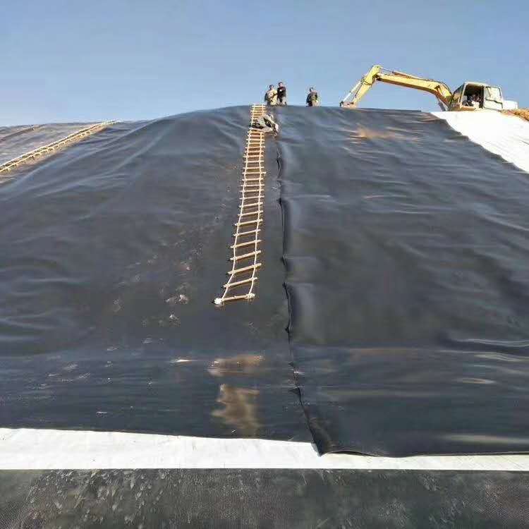 1mm魚池防滲土工膜