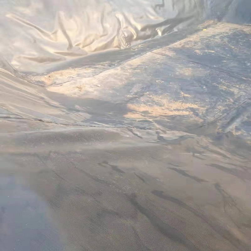 2mm批發(fā)土工膜多少錢