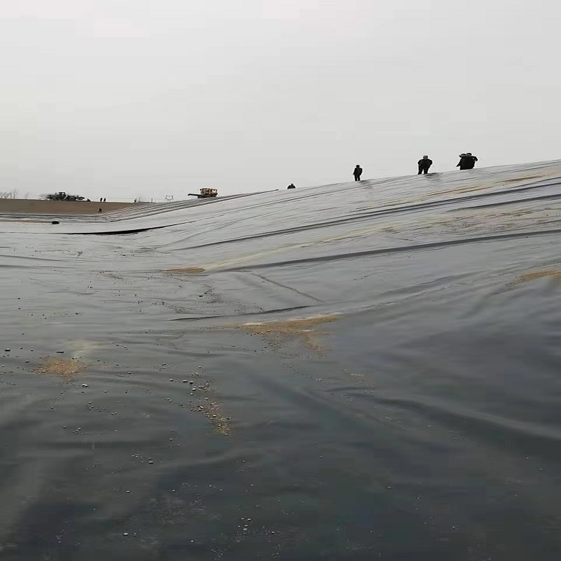 06mm國際土工膜價格