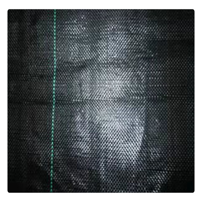 400g土工布生產(chǎn)